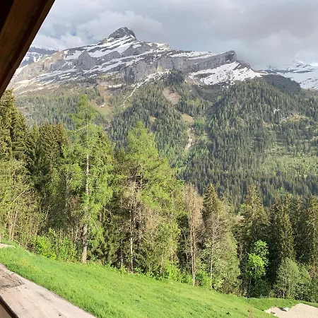 Apartmán Chalet Alpha Les Diablerets