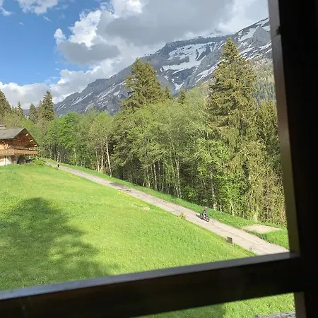 Apartment Chalet Alpha Les Diablerets